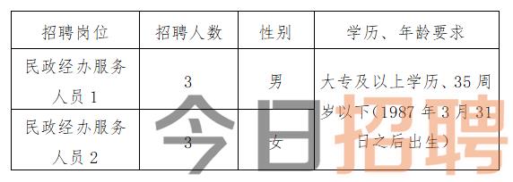 金平苗族瑶族傣族自治县数据和政务服务局最新招聘信息